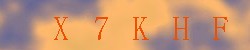 Kontrolní kód